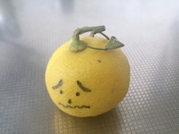 2012-13-800.jpg