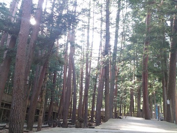 2013-04-29 15.53.22.jpg