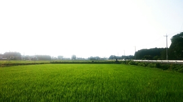 20150712012803530.jpg