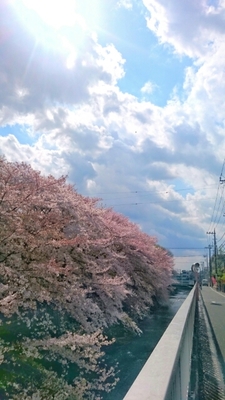 20170413170927418.jpg