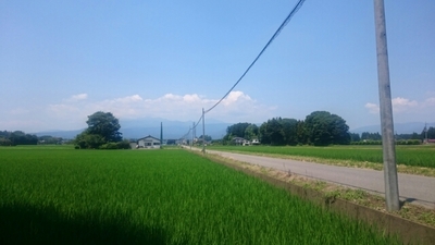 20170708113425057.jpg