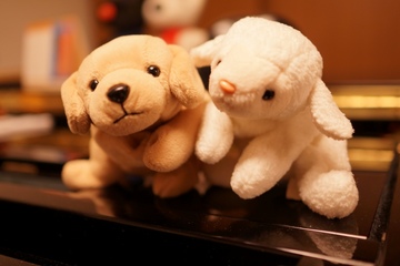 DSC00278.JPG