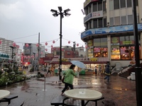 DSC01330.JPG